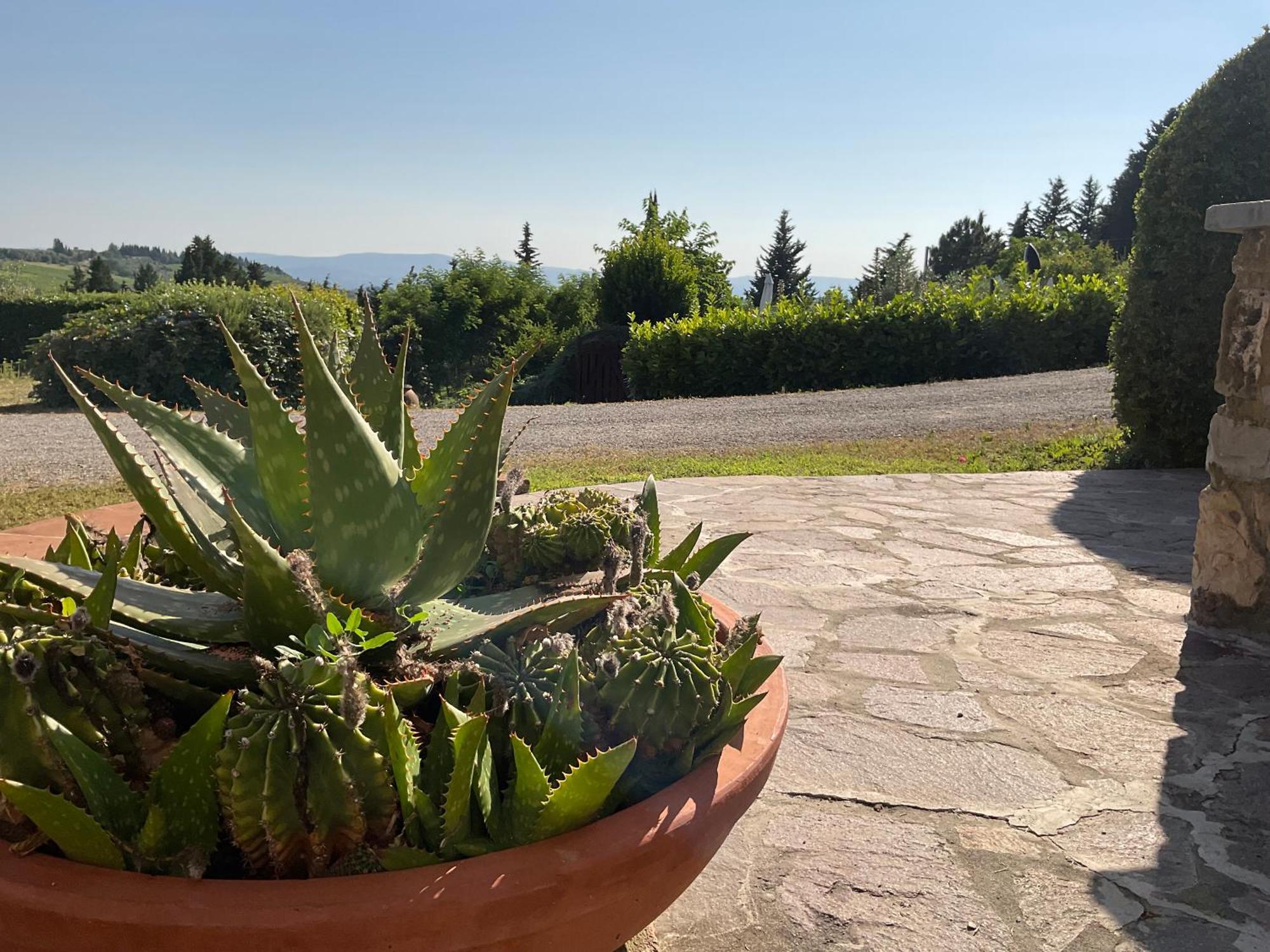 Villa Il Borraccio Tavarnelle Val di Pesa Dış mekan fotoğraf